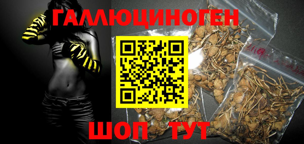 Галлюциногенные грибы GOLDEN TEACHER  Вход с VPN  Людиново 